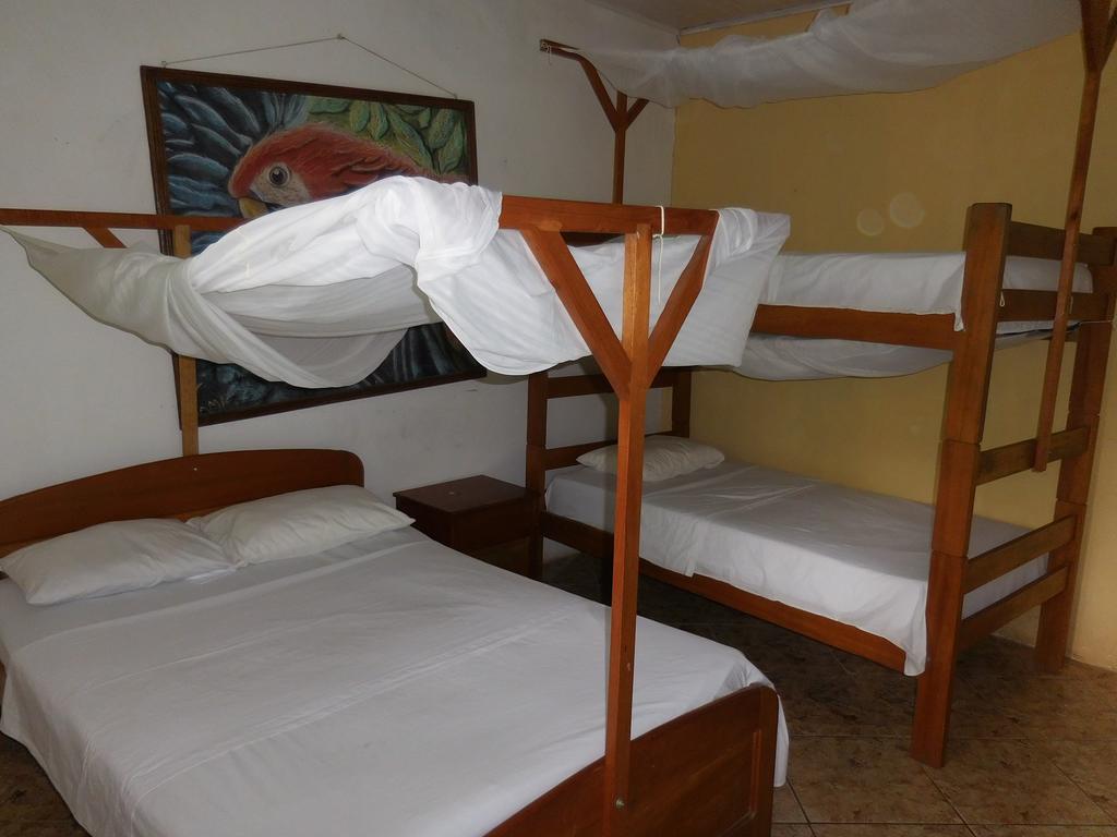 Tambopata Hostel Puerto Maldonado Ngoại thất bức ảnh